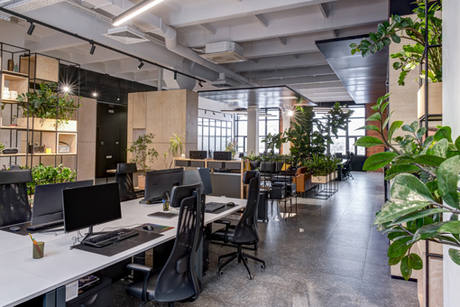 clean plant decorated modern office space