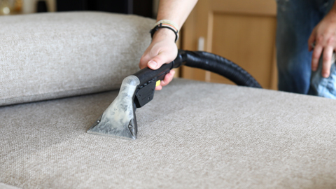 upholstery cleaner being used on sofa cushions