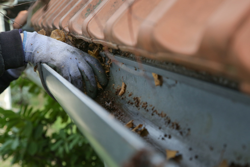 gutter being cleaned with gloved hands